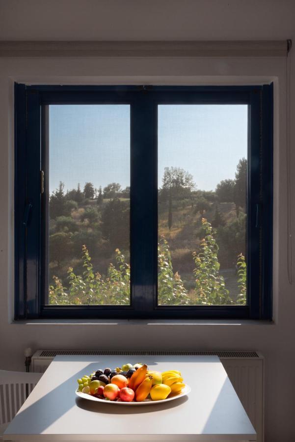 Villa Rodanthi Sivota Екстериор снимка